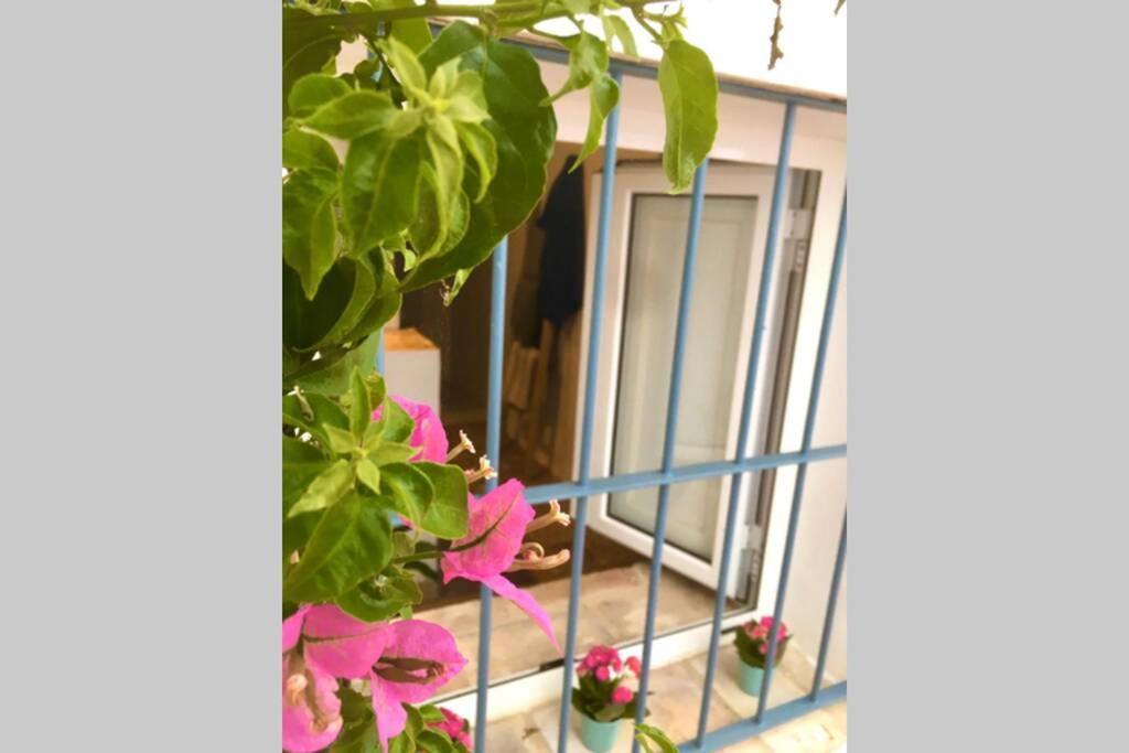 הוילה בורנוס La Puerta Azul מראה חיצוני תמונה