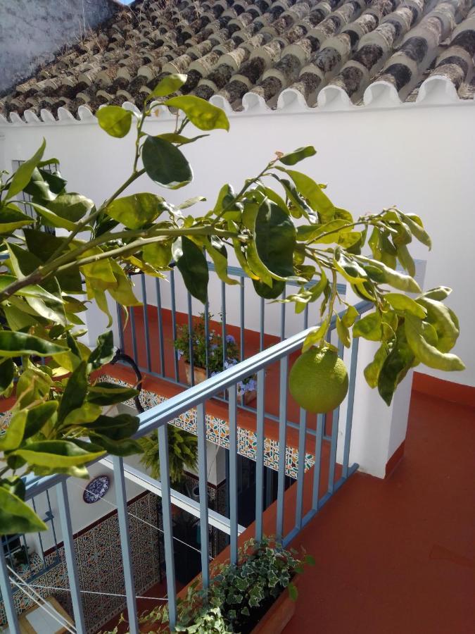 הוילה בורנוס La Puerta Azul מראה חיצוני תמונה